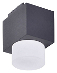 Накладной светильник Favourite Unika 4153-1U 250_100_1768046