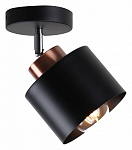 Спот Imex TINTO SP.024-11-52 250_100_Array