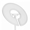Торшер Citilux LOONG CL810030 100_100_2874604