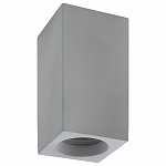 Накладной светильник Denkirs DK5002 DK5002-CE 250_100_1912802