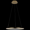 Подвесной светильник Loft it Ring 10014M 100_100_1845736