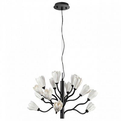 Подвесная люстра Odeon Light Gardi 5090/15 400_400_1731201