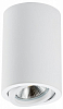Накладной светильник Lightstar Rullo 214406 100_100_2448293