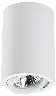 Накладной светильник Lightstar Rullo 214406 400_400_2448293