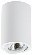 Накладной светильник Lightstar Rullo 214406 500_191_2448293