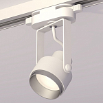 Светильник на штанге Ambrella Light XT XT6601022 250_100_2009279