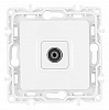 ТВ-розетка без рамки Arte Milano am-217 217.43-1.white 100_100_2302764