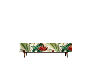 Комод "Berber" с ящиками низкий под TV арт BB19/Print_55 250_100_Array