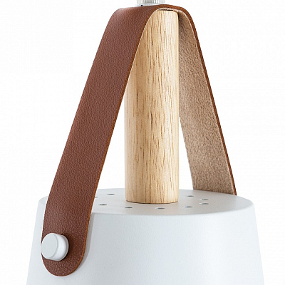 Подвесной светильник Arte Lamp Thomas A7032SP-1WH 400_400_1823972