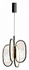 Подвесная люстра Odeon Light Piuma 6665/38L 100_100_1729815