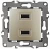 Розетка USB, без рамки Эра Эра 12 12-4110-04 100_100_2394564