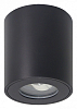 Накладной светильник Arte Lamp Tino A1469PL-1BK 100_100_2444402