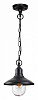 Подвесной светильник Odeon Light Campa 4965/1 100_100_2463838