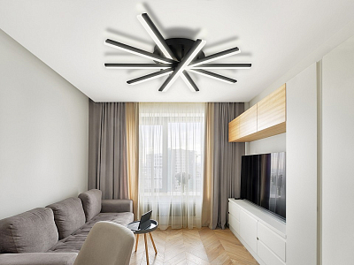 Потолочная люстра Natali Kovaltseva Line LED LAMPS 81174 400_400_2218711
