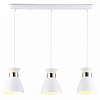 Подвесной светильник Ambrella Light TR TR8466 100_100_2453558