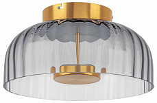 Накладной светильник Lightstar Celesta 809061 250_100_3155760