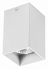 Накладной светильник Lightstar Rullo 216336 100_100_2448312