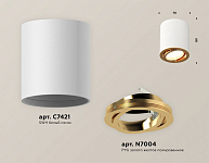 Накладной светильник Ambrella Light XS XS7421003 250_100_3109879