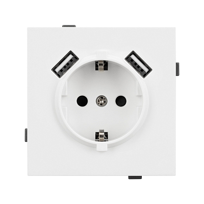 Розетка с заземлением и 2хUSB type A, без рамки Arlight SCT-TENDO 054082 400_400_3085663