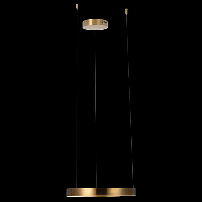 Подвесной светильник Loft it Ring 10013S 400_400_1845727