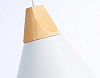Подвесной светильник Ambrella Light TR TR8195 100_100_2015704