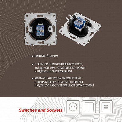 Розетка Ethernet RJ-45 без рамки Arte Milano am-202 202.45-1.shampan 400_400_2165979