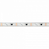 Лента светодиодная Arlight PFS 039177 100_100_1898923