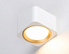 Накладной светильник Ambrella Light TN TN70831 100_100_2019342