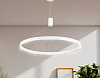 Подвесной светильник Ambrella Light FL FL5855 100_100_2016370