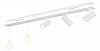 Накладной светильник Ambrella Light FL FL66201 100_100_2441999