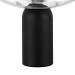 Настольная лампа декоративная Lightstar Palermo 612917 250_100_3076804