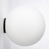 Накладной светильник Citilux RON CL941D25B5 100_100_3086634