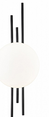 Накладной светильник Indigo Astro 14007/1W Black 400_400_2479772