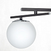Потолочная люстра Citilux Dorsy CL223152 100_100_1694250