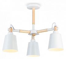 Люстра на штанге Ambrella Light TR TR82204 500_191_2421890