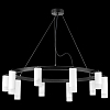 Подвесная люстра Lightstar Rullo LR0203658651 100_100_1718703