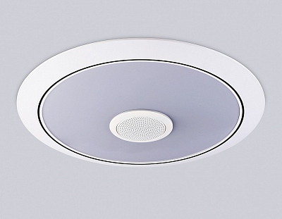 Накладной светильник Ambrella Light  FZ710 400_400_2441866