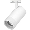 Светильник на штанге Lightstar Canno Pro C4406SS 100_100_3080385