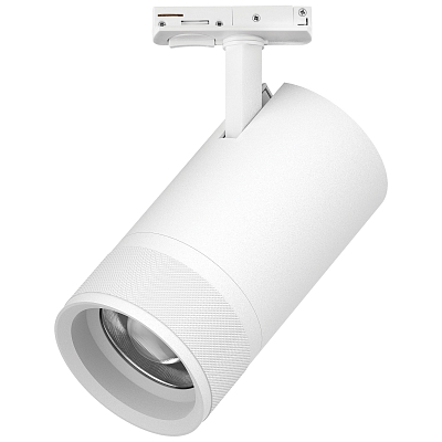 Светильник на штанге Lightstar Canno Pro C4406SS 400_400_3080385
