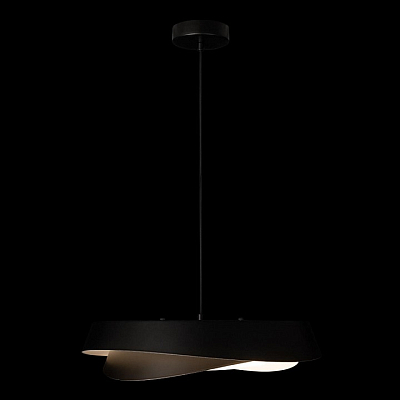 Подвесной светильник Loft it Petale 10256P Black 400_400_1852398