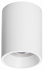 Накладной светильник Lightstar Rullo 213436 100_100_2448286