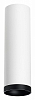 Накладной светильник Lightstar Rullo R64963487 100_100_2448452