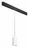 Подвесной светильник Lightstar Rullo PRORP6486 100_100_2460450