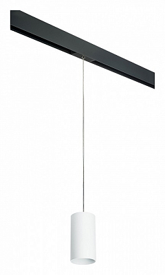 Подвесной светильник Lightstar Rullo PRORP6486 400_400_2460450