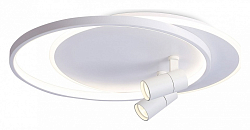 Накладной светильник Ambrella Light FL FL51391 250_100_Array