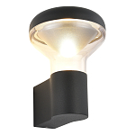 SL9541.701.01 Светильник уличный настенный ST-Luce темно-серый LED 1*6W 3000K РОНИ 250_100_2950288