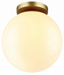 Накладной светильник Odeon Light Bosco 4248/1C 250_100_1724338