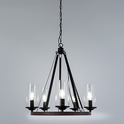 Подвесная люстра Arte Lamp Dalim A7014SP-5BK 400_400_1823126