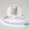 Лента светодиодная DesignLed DSG5120 00-00000514 100_100_3101059