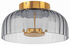 Накладной светильник Lightstar Celesta 809061 250_100_Array